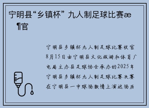 宁明县“乡镇杯” 九人制足球比赛收官